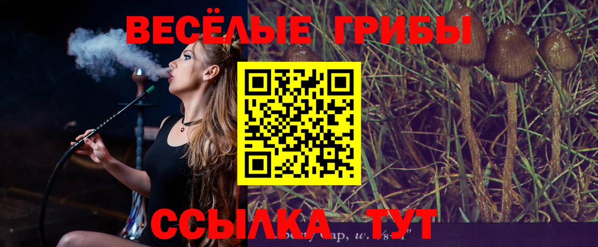 Усть-Илимск  Псилоцибиновые грибы Cubensis  Вход с VPN  Псилоцибиновые грибы Cubensis 
